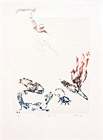 42/60 - Litho 002