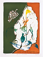 43/58 - Litho 007