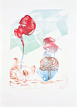 31/42 - Litho 024